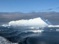 1_DSC_1884