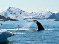 1_DSC_2343aa