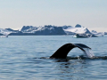 1_DSC_2383.aJPG_